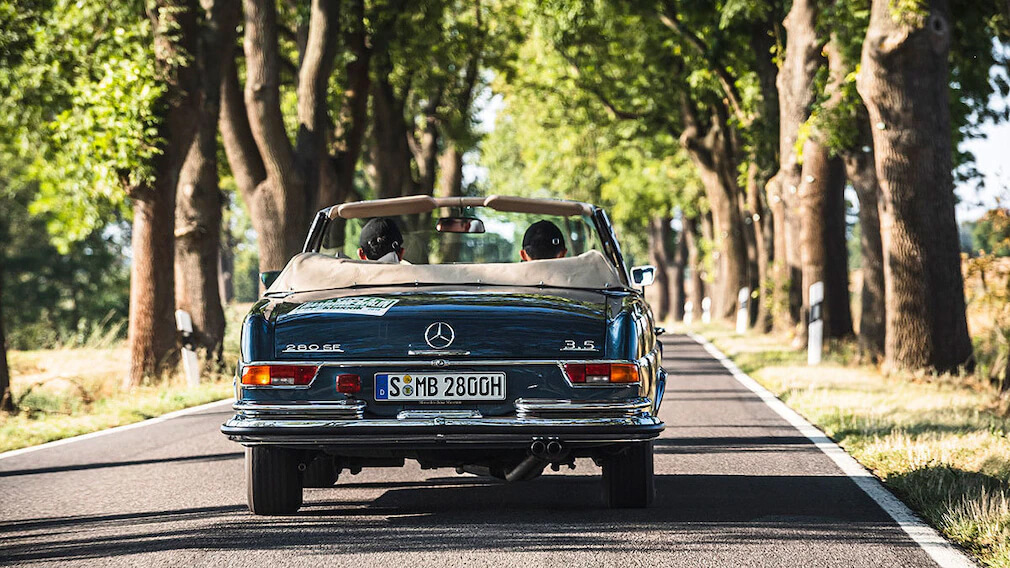 blauer Mercedes Oldtimer fährt auf einer Allee
